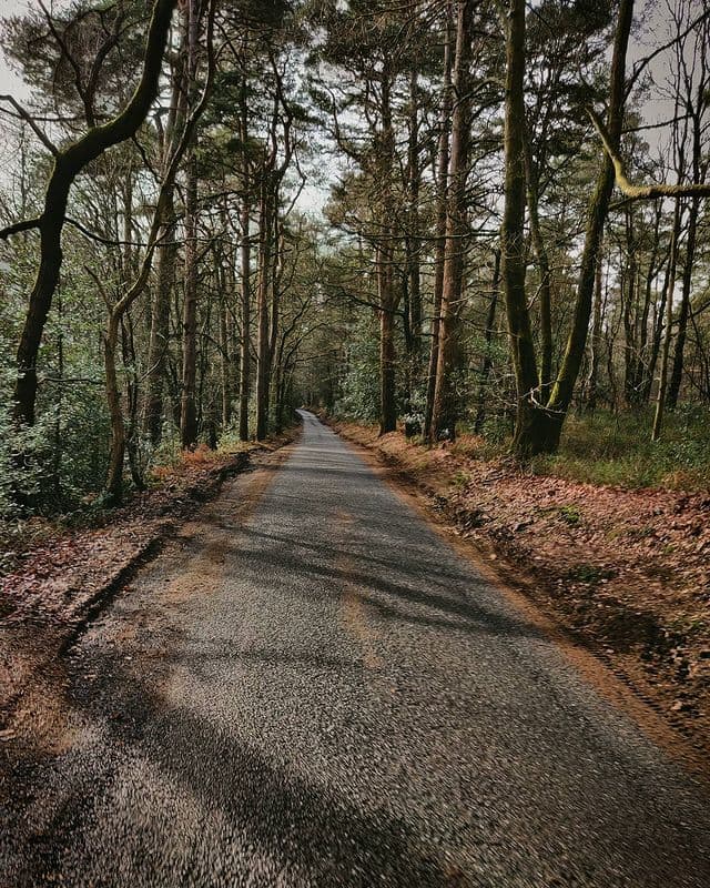 2019 Winter training thumbnail image